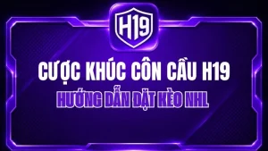 Cược Khúc Côn Cầu H19 – Hướng Dẫn Đặt Kèo NHL